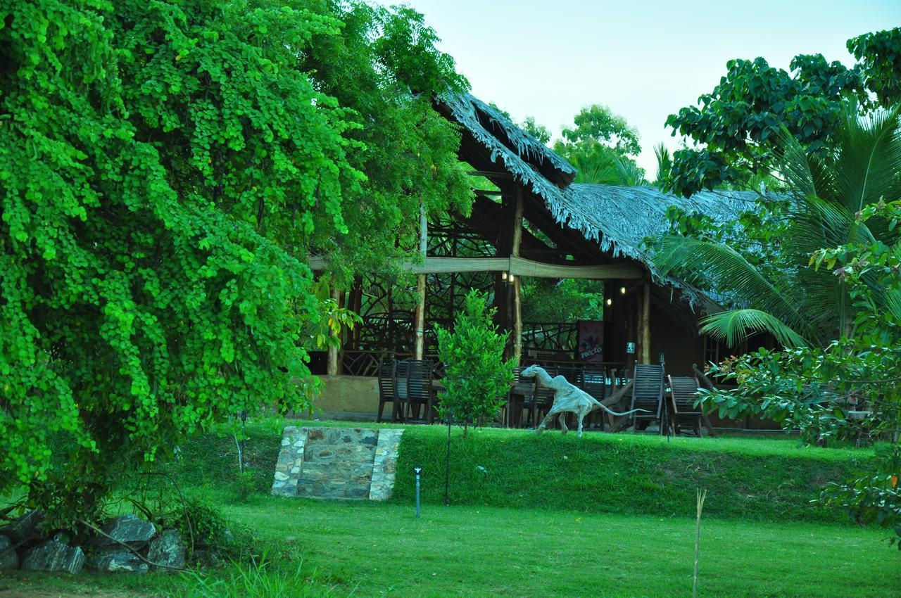 Thuduwa Camp Embilipitiya Exterior foto