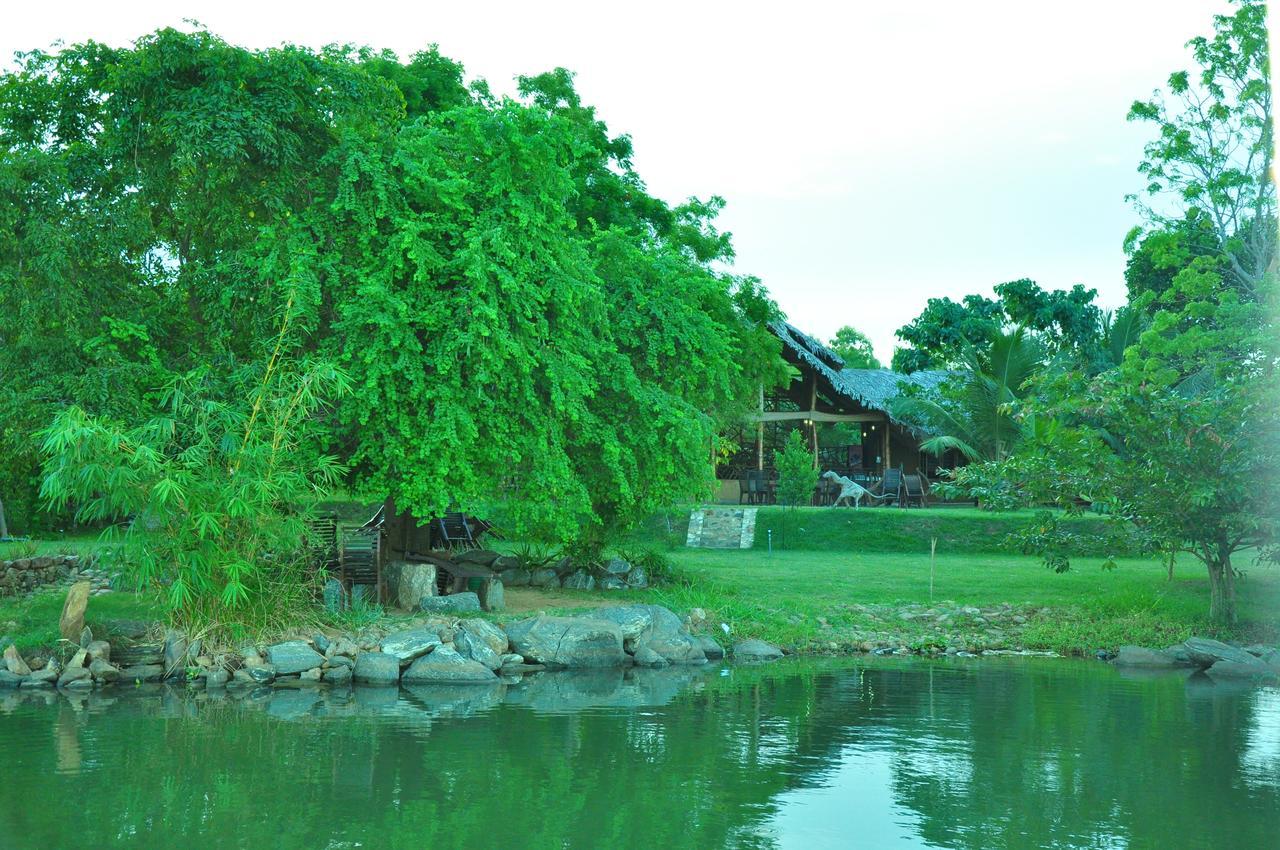 Thuduwa Camp Embilipitiya Exterior foto