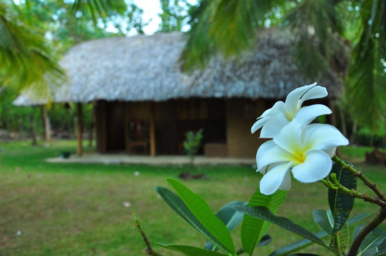 Thuduwa Camp Embilipitiya Exterior foto